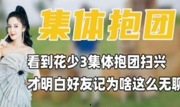 花少好友记最新爆料,揭秘明星们的真实友谊与幕后故事