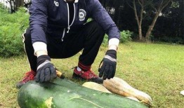 金乡最新大瓜爆料信息,最新大瓜爆料揭秘惊人内幕