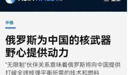 中国俄罗斯最新爆料,深度合作背后的战略布局与未来展望